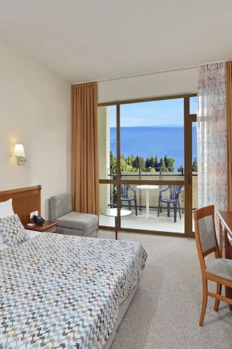 Standard Double room with balcony and with park view