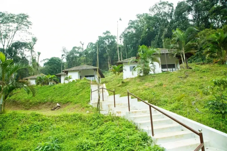 The Nest Bettathur Coorg