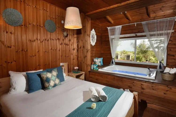 1 Bedroom Suite