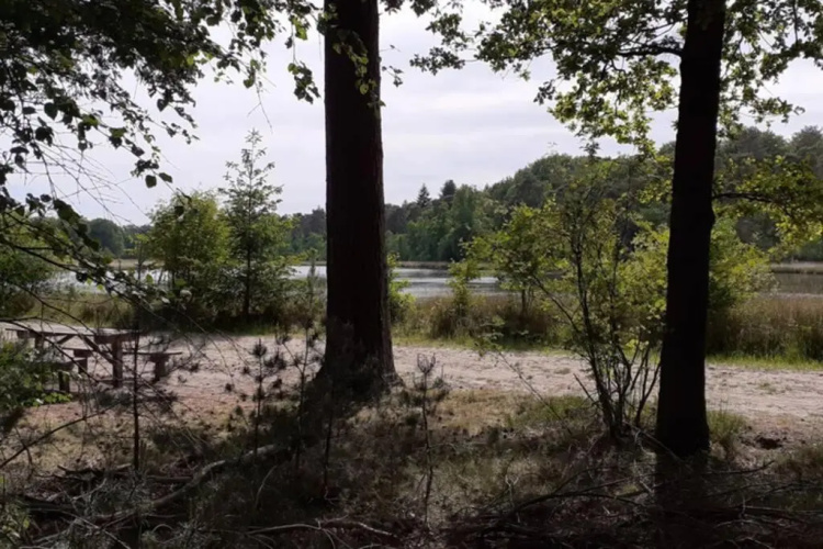 Drentse bungalow in natuur en rust