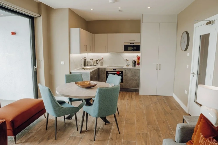 1 Bedroom Luxury Basement Apartment