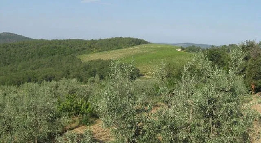 Casina al Vento