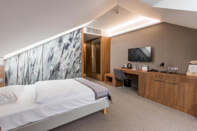 Deluxe Single room