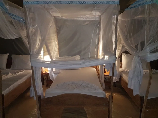 Family Tent