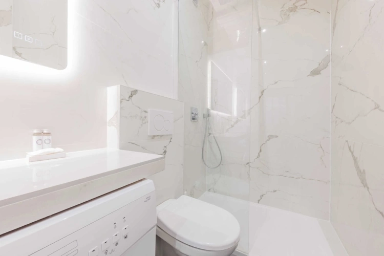 Luxury Apartment