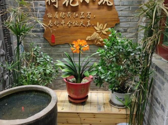 Shao's Courtyard Hostel