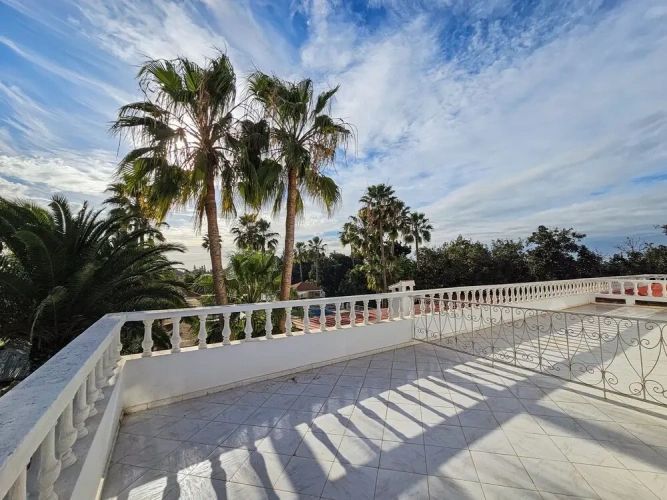 Superior Suite