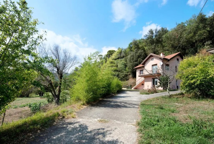 La liguria Tra Gli Ulivi 1