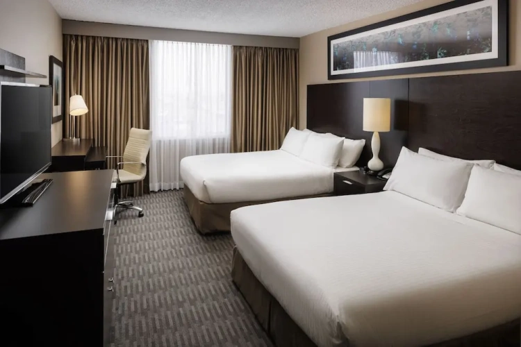 Premium Quadruple Club room