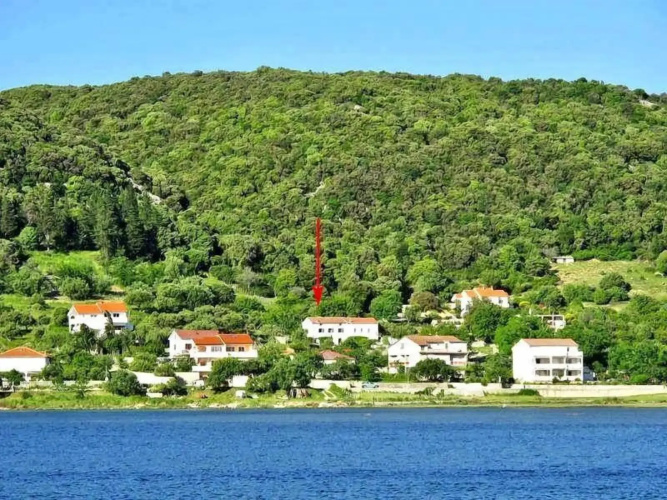 House Viskic