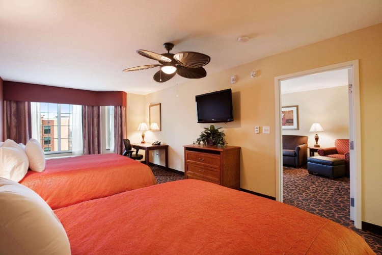 1 Bedroom Quadruple Suite