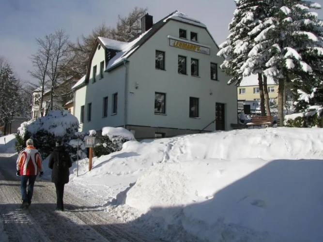 Basement Apartment