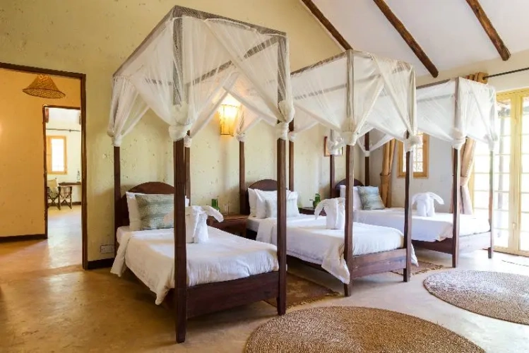 Double Suite