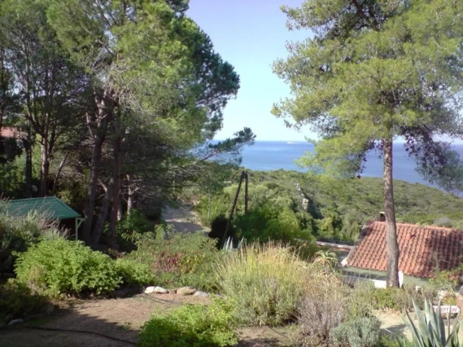 Standard Quadruple room with sea view