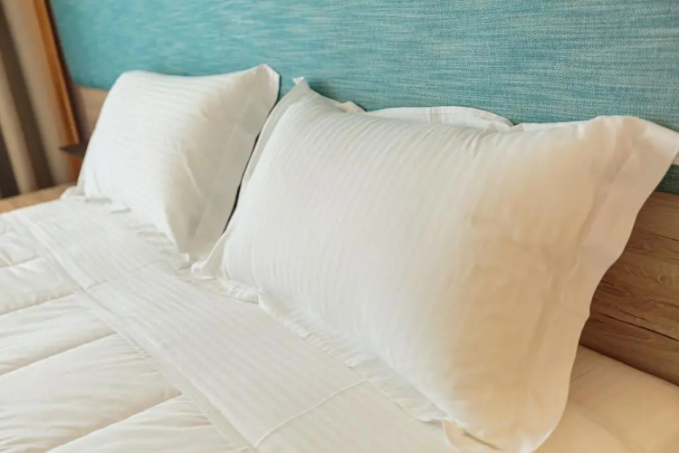 Hotel Regina Blue