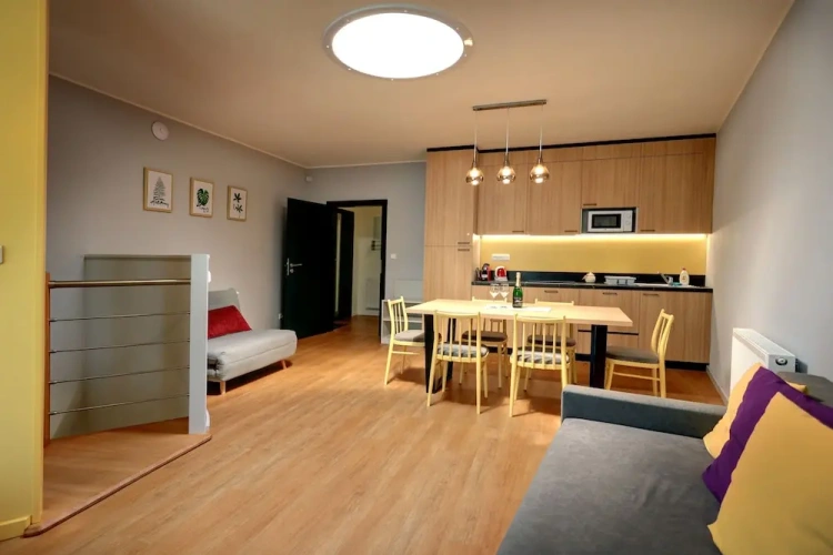 Luxury Apartment