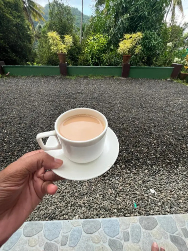Fab Valley Homestay