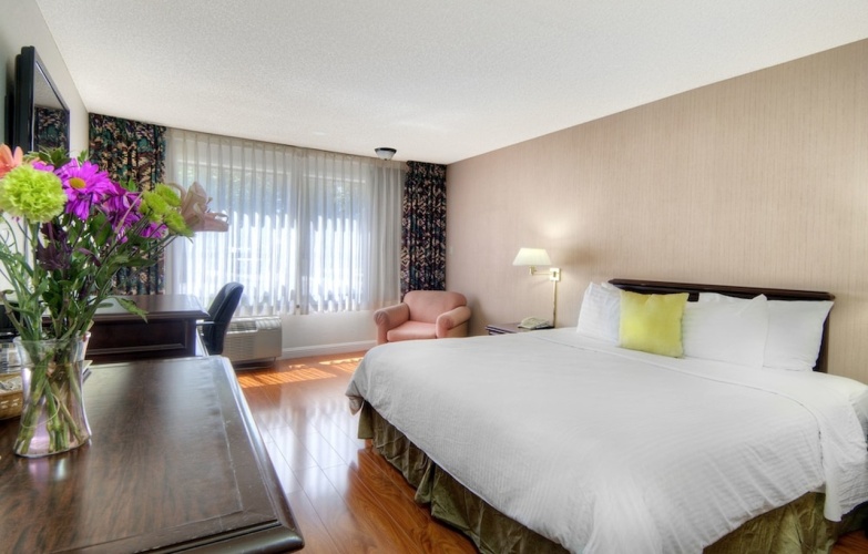 County Inn photo 7