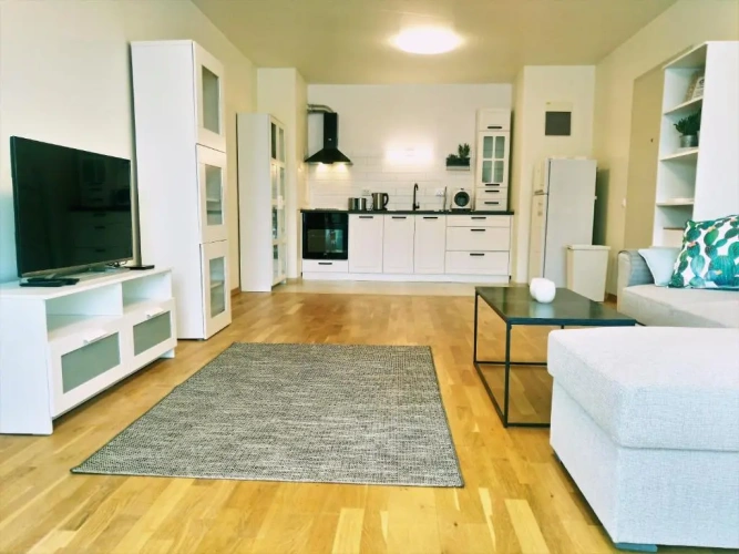 1 Bedroom Apartment