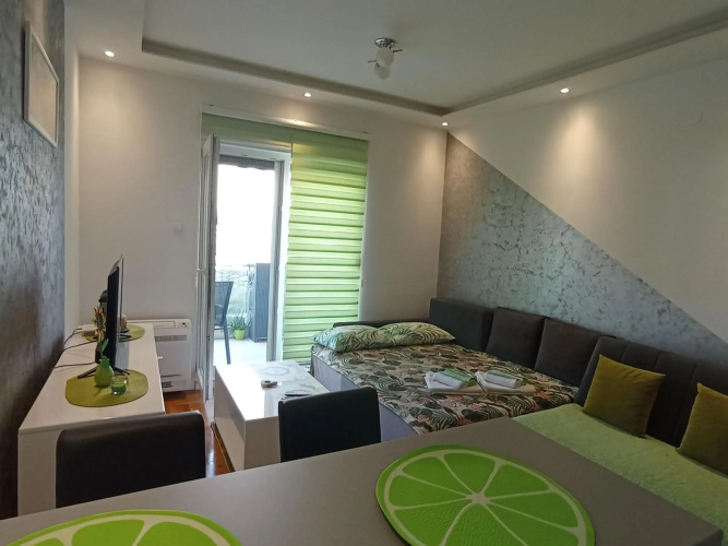 Apartment Leo 11