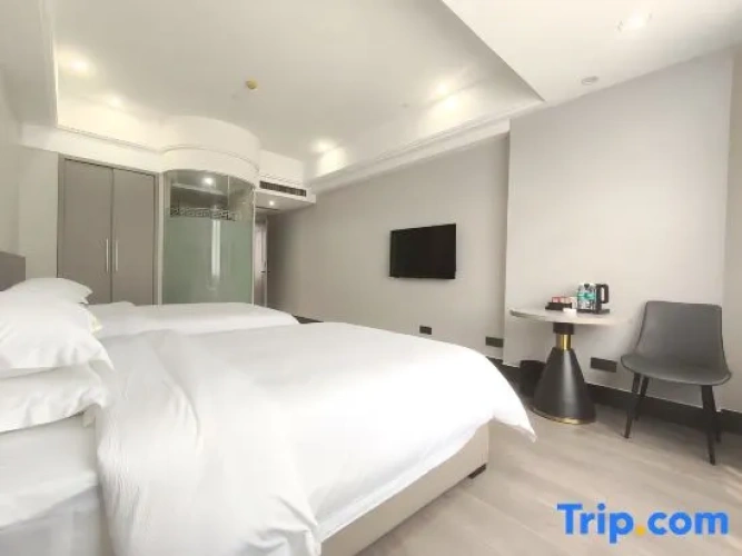 Standard Twin room with city view