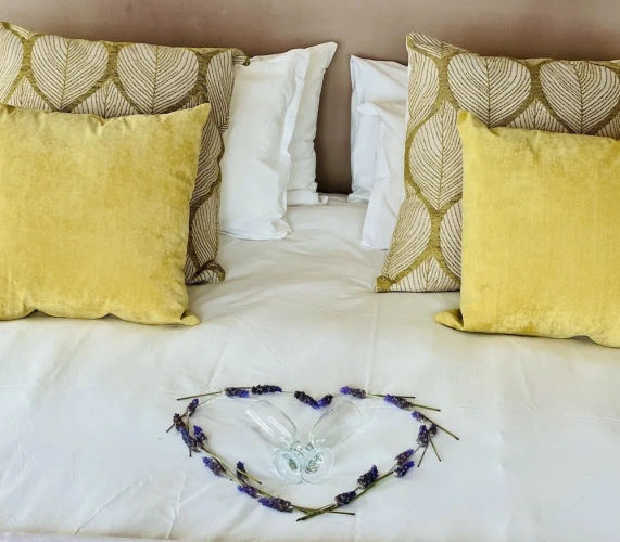 Standard Double room with balcony and with ocean view