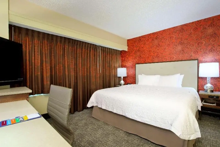 Double Suite with city view