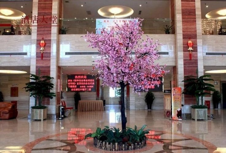 Imagen del hotel