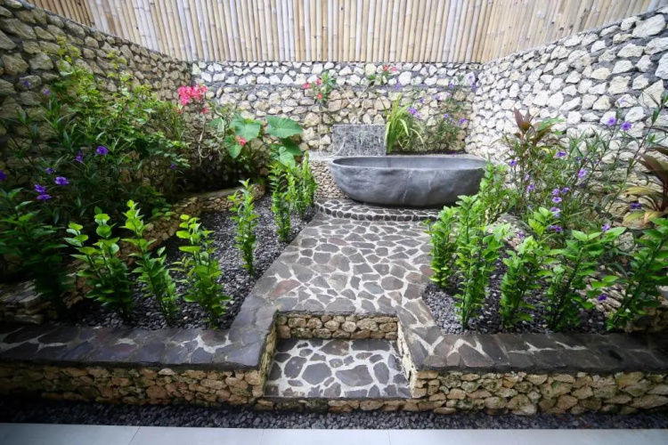 Jungle Paradise