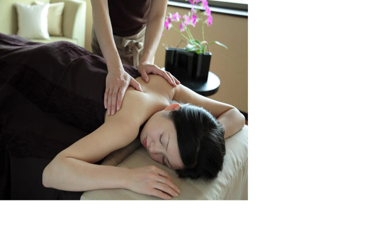 Hotel Nagoya CastleOver view