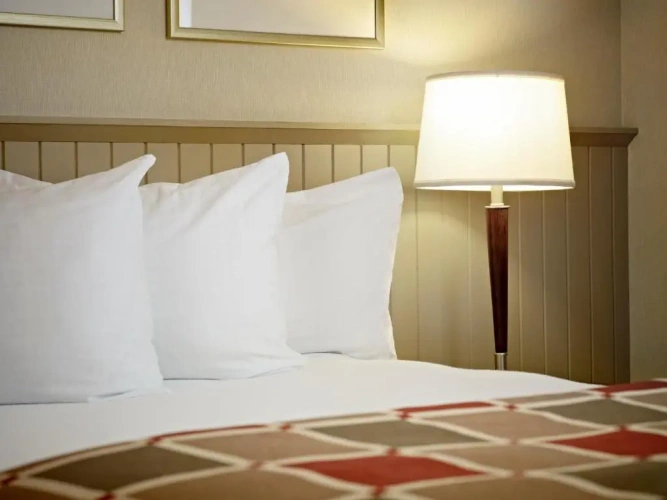 1 Bedroom Double Suite