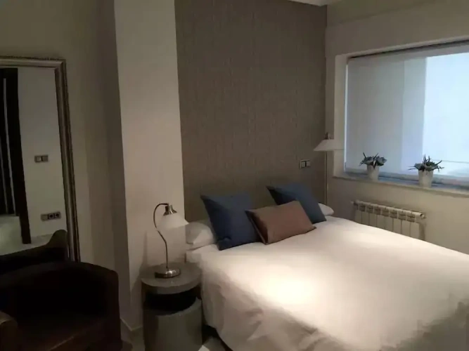 1 Bedroom Standard Penthouse room