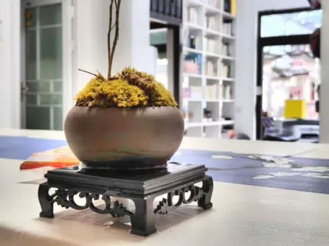 Dali Time Lixiaoyuan