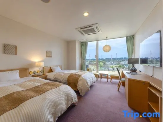 Standard Twin room with mountain view