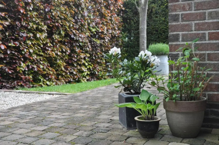 B&B De Logeur