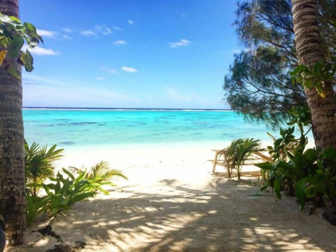 Heliconia Hideaway