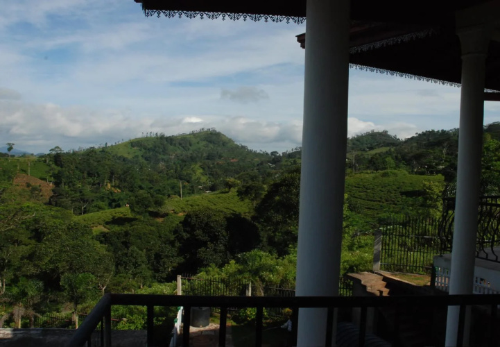Paragon Villa