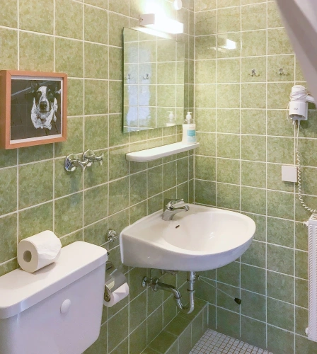 Classic Double room with balcony