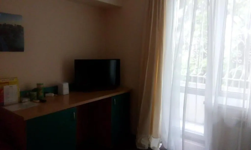 Standard Twin room with view