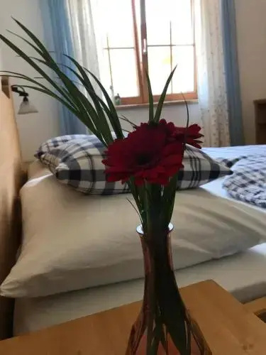 Ferienwohnung Gruber-Hansen