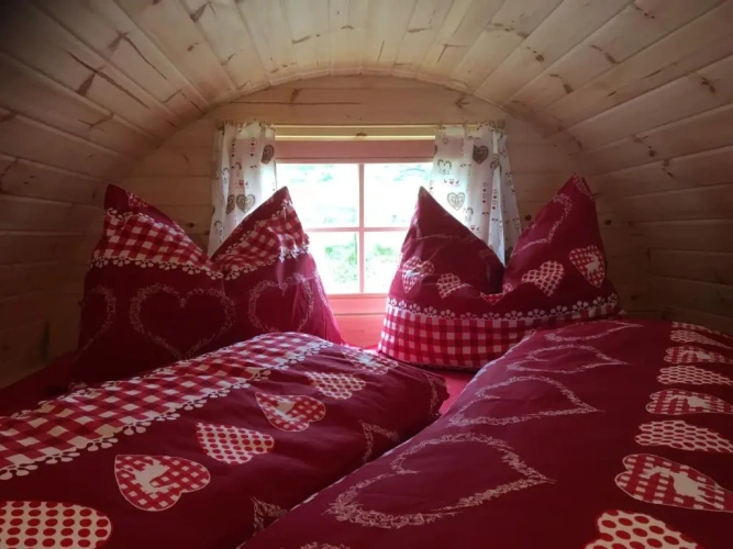 Standard room with view