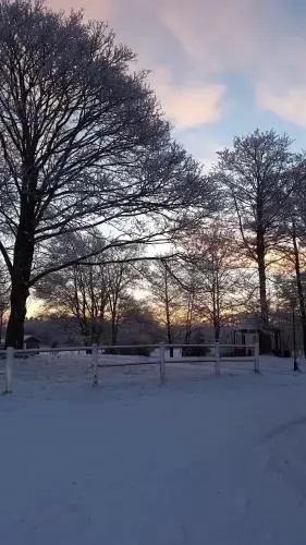 Ost Trogelborg Farm Holiday
