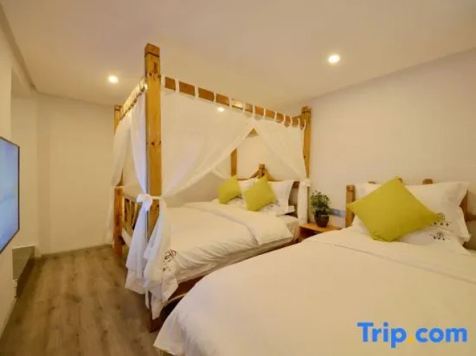Standard Twin Family room
