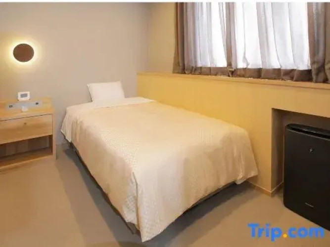 Standard Twin room with city view