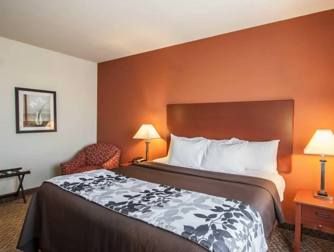Standard room