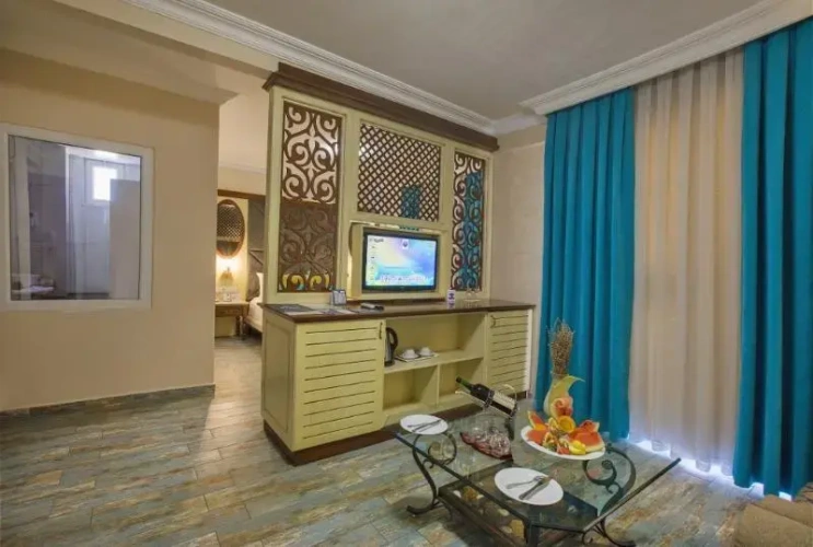 Standard Double room with balcony and with view
