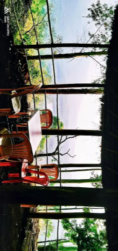 Munnar Jungle Camp