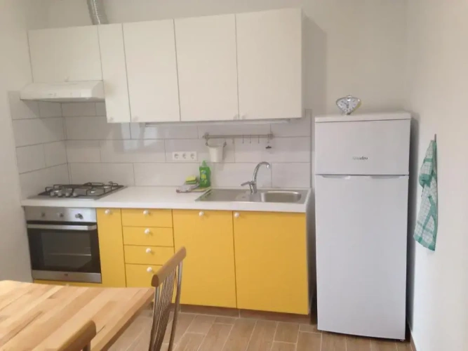 Basement Apartment