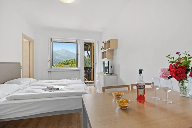 1 Bedroom Apartment with balcony and with mountain view