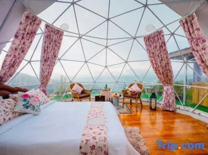Phuchifa Sky Camp
